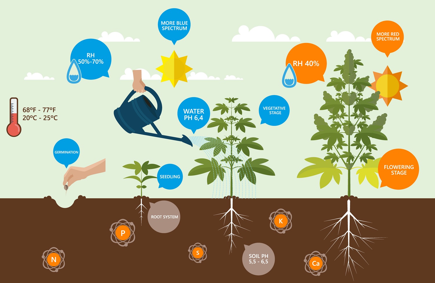 Voeding voor wietplanten