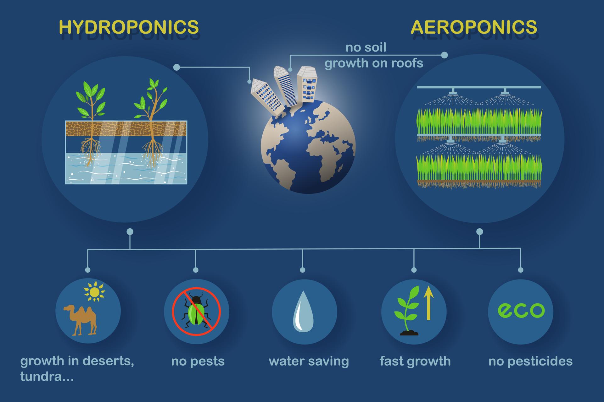 Aeroponic