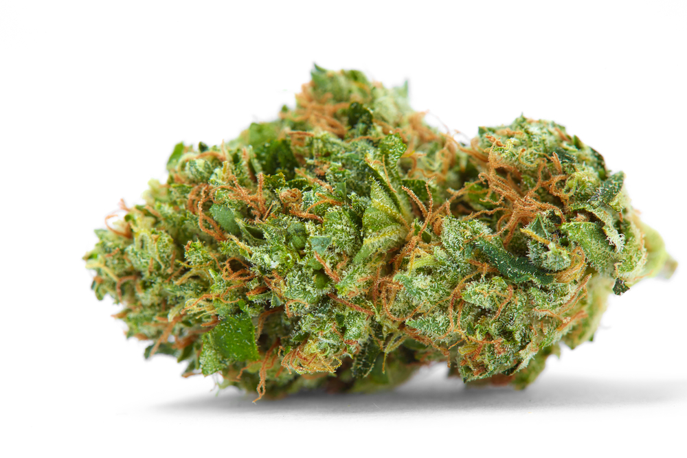 AK 47