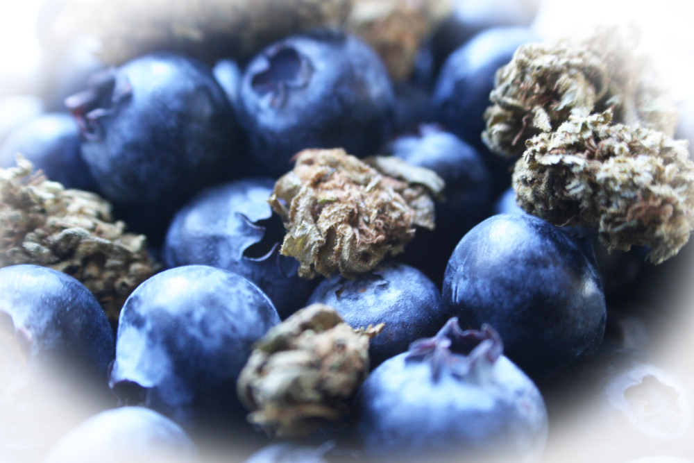 Blueberry