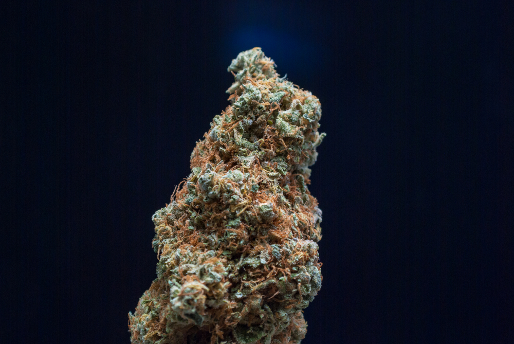 Candy kush
