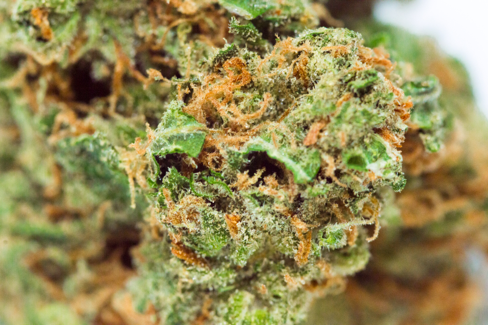 Lemon haze