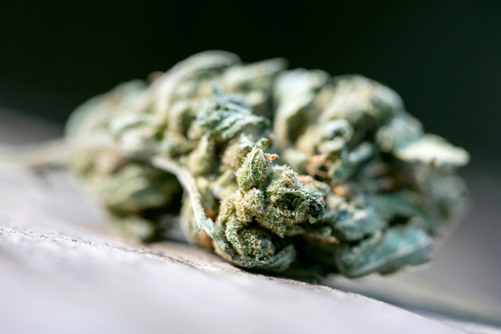 Super lemon haze