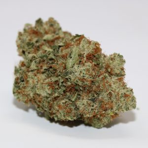 Master kush