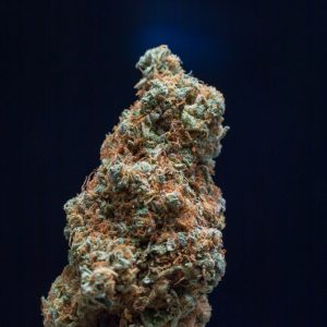 candy kush